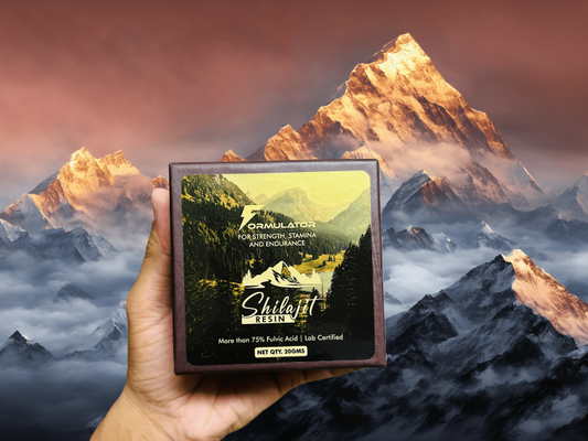 Shilajit Resin 20g - MDRIVEMEN